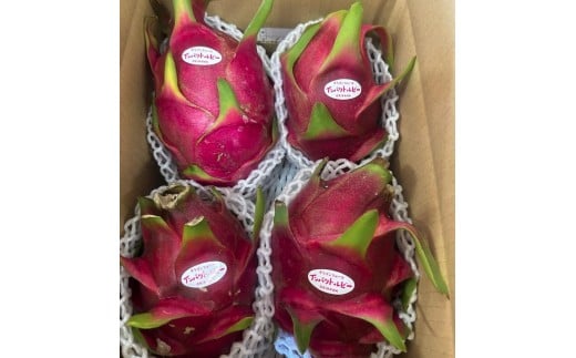 宮平農園のドラゴンフルーツ 2kg(レッド)