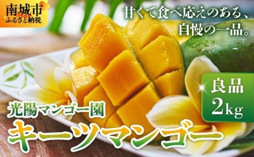 <先行予約・数量限定>キーツマンゴー 良品(2kg)KM008