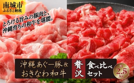 【ふるさと納税】沖縄あぐー豚&おきなわ和牛の贅沢食べ比べセット(2.5kg)