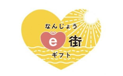 電子商品券 なんじょうe街ギフト(300,000円分)