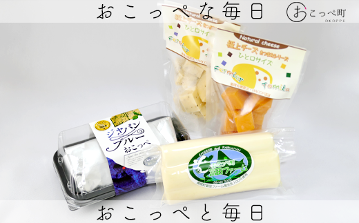 牧場から直送『チーズ詰め合わせセットＢ』