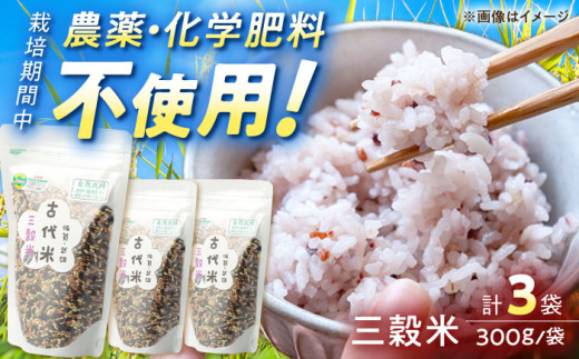 【自然農法で育てた】 古代米 三穀米 （黒米・赤米・緑米） 900g（300g×3袋）/永尾 忠則 [UAS002] 雑穀 雑穀米 米 お米