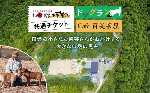 【愛犬と楽しいひと時を！】Cafe 百笑茶屋＆ドッグランで使える共通 チケット /お百笑さん [UAZ002] 食事券 体験 チケット