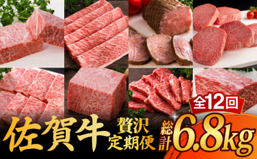 【全12回】 A5ランク 佐賀牛 霜降り 食べ比べ 定期便 約2-3人前 総計6.8kg /焼肉どすこい [UCC004] 最高級 牛肉 肉 ステーキ スライス ローストビーフ 焼肉