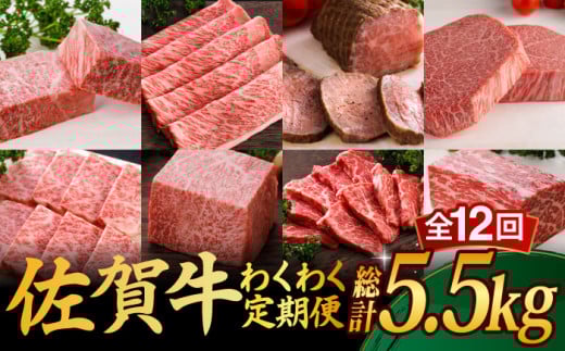 【全12回】 A5ランク 佐賀牛 霜降り 食べ比べ 定期便 約2-3人前 総計5.52kg /焼肉どすこい [UCC005] 最高級 牛肉 肉 ステーキ スライス ローストビーフ 焼肉