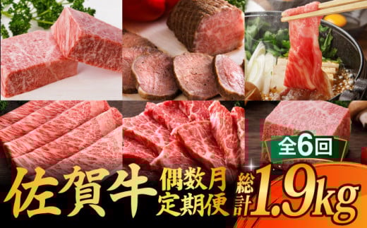 【全6回定期便・偶数月にお届け】A5 佐賀牛 霜降り 牛肉 食べ比べ 定期便 約2-3人前 総計1.95kg 隔月発送 牛肉 肉 ステーキ すき焼き 国産 牛肉 佐賀牛 定期便 サーロイン ブロック ステーキ すき焼き しゃぶしゃぶ カルビ 佐賀県 武雄市 焼き肉 すき焼き しゃぶしゃぶ 食べ比べ 定期便 /焼肉どすこい [UCC008]