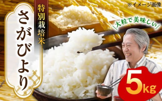 【特別栽培米！】令和7年産 新米 さがびより 白米 5kg 武雄市橘産 /よしたか農園 [UCY001] 米 お米 こめ 白米 精米 ブランド米