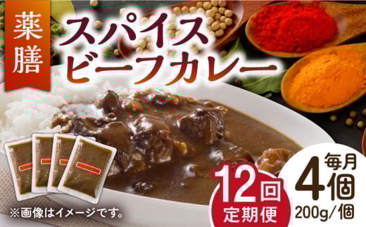 【12回定期便】薬膳スパイスビーフカレー 4食（200g×4） /自然庵 [UCQ009] カレー レトルトカレー 牛肉 牛 ビーフ