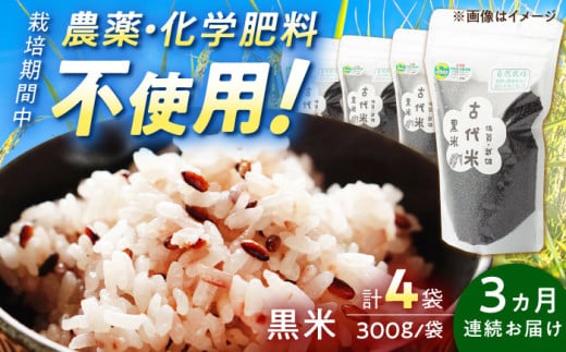 【3回定期便】自然農法で育てた 古代米 黒米 1.2kg（300g×4袋）/永尾 忠則 [UAS017] 雑穀 雑穀米 米 お米