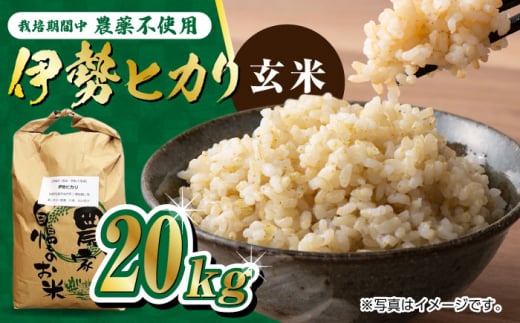 【新米 先行予約】栽培期間中農薬不使用 令和7年産 伊勢ヒカリ（イセヒカリ）玄米 20kg /鶴ノ原北川農園 [UDL008] 米 お米 こめ 玄米 ブランド米