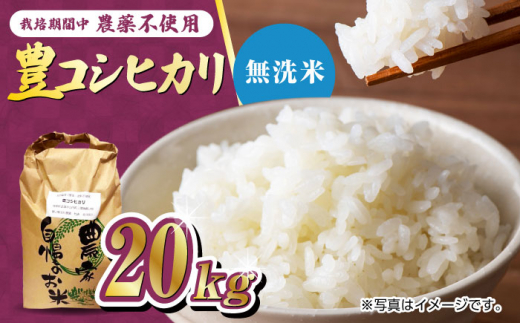 栽培期間中農薬不使用 令和6年産 豊コシヒカリ 精米 無洗米 20kg /鶴ノ原北川農園 [UDL020] 白米 米 お米 こめ 白米 精米 ブランド米
