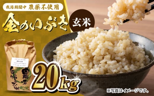 栽培期間中農薬不使用 令和6年産 金のいぶき 玄米 20kg /鶴ノ原北川農園 [UDL023] 米 お米 こめ 玄米 ブランド米