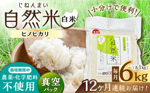 12回定期便】栽培期間中 農薬・化学肥料不使用 自然米 白米 6kg