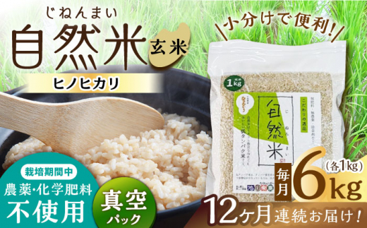 【12回定期便】栽培期間中 農薬・化学肥料不使用 自然米 玄米 6kg（ヒノヒカリ 1kg×6袋）/自然庵 [UCQ028]