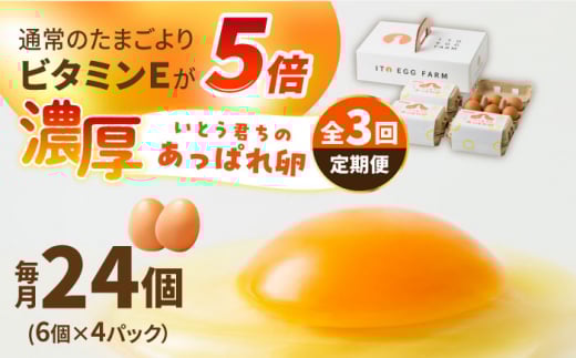 【3回定期便】いとう君ちのあっぱれ卵 24個（6個×4パック）ギフトBOX /いとう養鶏場 [UAQ009]