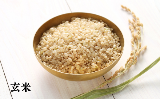 7-075-007 【玄米】新米・増毛町産ななつぼし 5kg×6ヶ月(10月~3月)【横関農園】