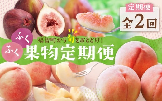W99-83 【2026年発送】★先行予約受付開始★ ふくふく果実定期便(隔月・年2回) 福岡 福智町 定期便 2回 食べ比べ 果物 フルーツ もも 桃 さくひめ いちじく イチジク とよみつひめ 数量 限定 先行 予約 受付 開始 送料無料 ★レビューキャンペーン開催★