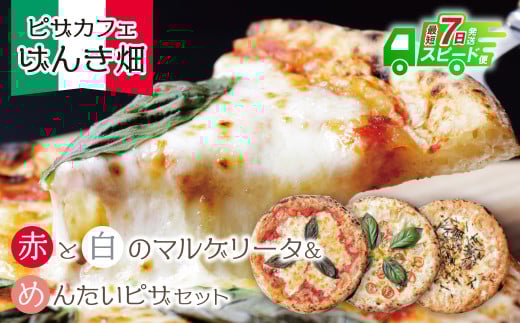 W24-16 【7営業日以内発送】 本格窯焼き! げんき畑 ピザ 3枚セット<マルゲリータ(赤・白)&めんたいピザ> ピザ 冷凍ピザ ピザ 冷凍 窯焼き ピザ 人気 ピザ おすすめ ピザ 食べ比べ ピザ ピザセット マルゲリータ ピザ 明太子 ピザ スピード発送