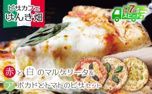 W24-20 【7営業日以内発送】 本格窯焼き! げんき畑 ピザ 3枚セット<マルゲリータ(赤・白)&アボカドとトマトのピザ> ピザ 冷凍ピザ ピザ 冷凍 窯焼き ピザ 人気 ピザ おすすめ ピザ 食べ比べ ピザ ピザセット マルゲリータ ピザ アボカド トマト ピザ  スピード発送