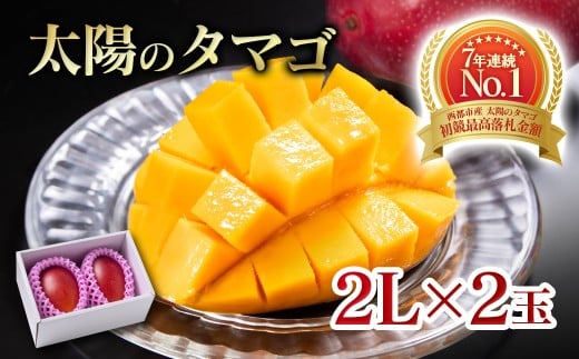 【6月発送】最高級ブランド『太陽のタマゴ』2Lサイズ2個入り【糖度15度以上】宮崎県西都市産完熟マンゴー＜3.6-5＞宮崎完熟マンゴー 果物 フルーツ 甘い【先行予約】