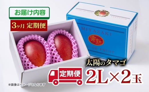 【3ヶ月定期便】最高級ブランド『太陽のタマゴ』2Lサイズ2個入り【糖度15度以上】宮崎県西都市産完熟マンゴー＜11-7＞宮崎完熟マンゴー 果物 フルーツ 甘い【先行予約】