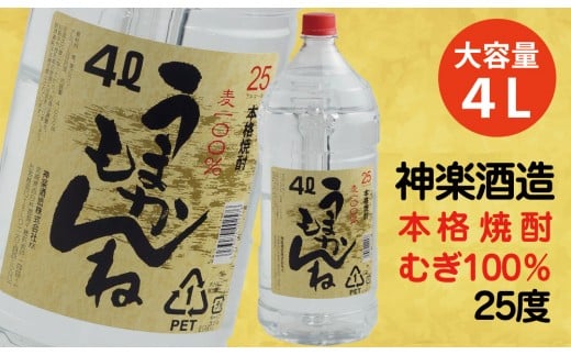 ビックサイズ!神楽酒造 麦焼酎『うまかもんね』25° 4L<1.1-16>