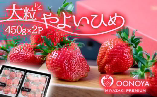大粒厳選いちご やよいひめ 2パック  苺大野屋 宮崎県西都市 900g <3-51>【先行予約】