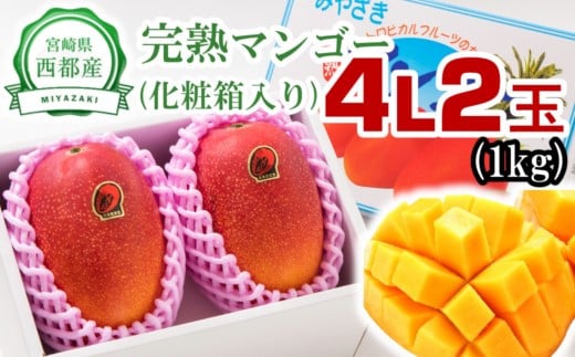 西都産完熟マンゴー  大玉4L×2 糖度12度以上 JA西都【先行予約 】<2-45>宮崎マンゴー 果物 フルーツ 甘い【先行予約】