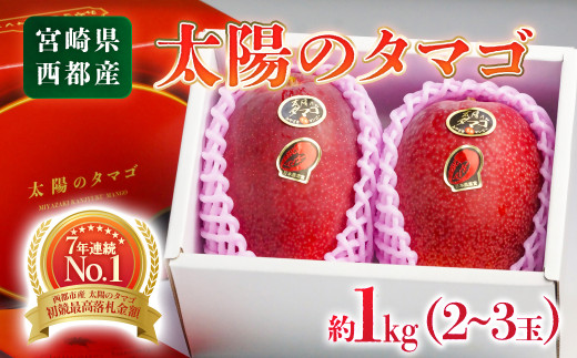 最高級ブランド『太陽のタマゴ』1㎏程度2~3玉【糖度15度以上】宮崎県西都市産完熟マンゴーJA西都【先行予約 】<3-18>【先行予約】