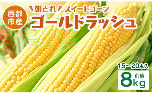 初夏の味覚!鮮度が命 生産者直送 村田さん家のゴールドラッシュ 約8kg 大人気 西都市産 朝どれスイートコーン【先行予約】とうもろこし トウモロコシ<1.2-35>