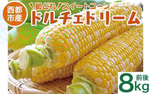 初夏の味覚!鮮度が命 村田さん家の朝どれスイートコーン『ドルチェドリーム』8kg前後 生産者直送 5月発送開始【先行予約 】<1.2-44>