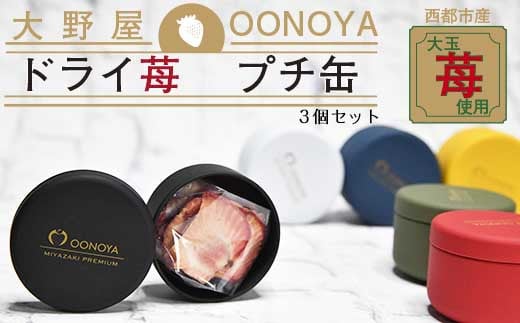 苺大野屋 やよいひめドライ苺 プチ缶3個セット 宮崎県西都市<1-221>