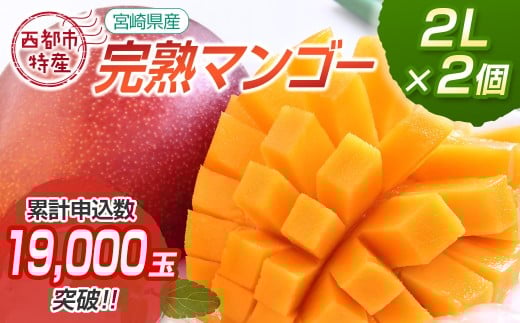 宮崎県西都市産完熟マンゴー2L×2個 西都市特産品 ＜1.2-39＞宮崎完熟マンゴー 果物 フルーツ 甘い【先行予約】