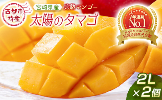 最高級ブランド『太陽のタマゴ』2L×2個【糖度15度以上】宮崎県西都市産完熟マンゴー ＜2-76＞宮崎マンゴー 果物 フルーツ 甘い 【先行予約】