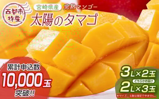 最高級ブランド『太陽のタマゴ』3Lサイズ2個または、2Lサイズ3個【糖度15度以上】宮崎県西都市産完熟マンゴー＜3-48＞宮崎マンゴー【先行予約】