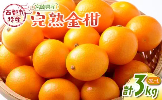 宮崎県西都市産完熟金柑 きんかん3kg(3L~L)西都市特産品<1.2-41>【先行予約】