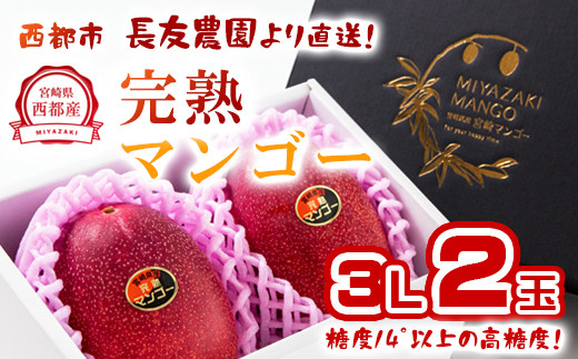 【長友農園 】完熟マンゴー 3L×2 糖度14度以上 宮崎県西都産 産生産者直送<1.7-44>