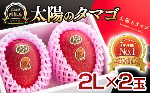 最高級ブランド『太陽のタマゴ』2Lサイズ2個入り【糖度15度以上】宮崎県西都市産完熟マンゴー＜2-94＞宮崎完熟マンゴー 果物 フルーツ 甘い【先行予約】
