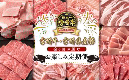 宮崎牛&宮崎県産豚肉6ヶ月定期便 お楽しみコース 牛肉 豚肉 焼肉 すき焼き しゃぶしゃぶ とんかつ等 ミヤチク 内閣総理大臣賞4連覇 [8-10]すき焼肉 すき焼き肉●