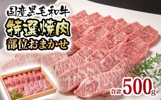 黒毛和牛 希少部位を含む特選焼肉 500g＜1.6-35＞焼肉用 牛肉 国産
