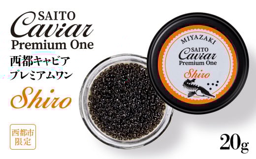 SAITO CAVIAR PREMIUM ONE SHIRO 20g<5.5-7>キャビア 西都市オリジナル