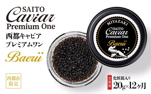 【12ヶ月定期便】SAITO CAVIAR PREMIUM ONE BAERII 20g×12ヶ月 <50-1>キャビア 西都市オリジナル