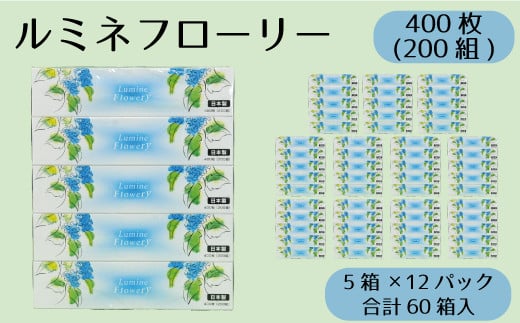 【通常発送】 ティッシュ ボックスティッシュ 60箱 200組 5個 ×12パック ルミネフローリー やわらか 高品質 ティッシュペーパー バラ 花柄 デザインボックス 日用品 備蓄 防災 送料無料 愛媛県 【四国中央市 紙のまち】