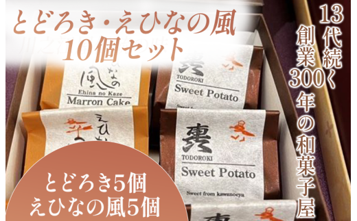 とどろき・えひなの風 10個セット