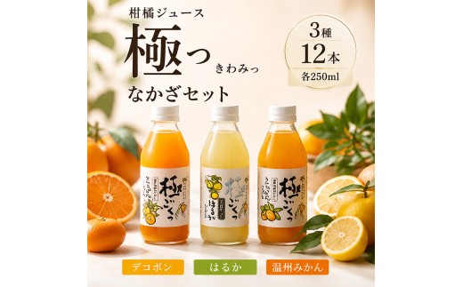 柑橘ジュース「極っ」なかざセット