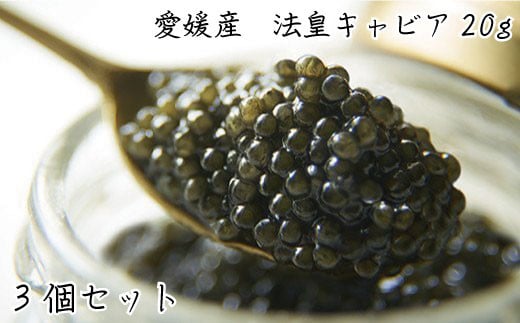 キャビア  20g CAVIAR caviar 3個 セット チョウザメ ベステル 魚卵 桐箱入り 高級 冷凍 限定 ギフト ふるさと納税 送料無料 【四国中央市 紙のまち 日本一】