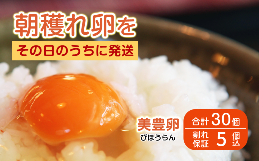 たまご 卵 タマゴ 30個 美豊卵 熊福 こだわり ふっくら 濃厚 朝穫れ ふるさと納税 送料無料 【四国中央市 日本一 紙のまち】