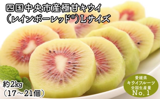 <10月下旬以降発送>【ぽぽ農園】レインボーレッドキウイ(四国中央市産極甘キウイ) Lサイズ約2kg(17~21個)