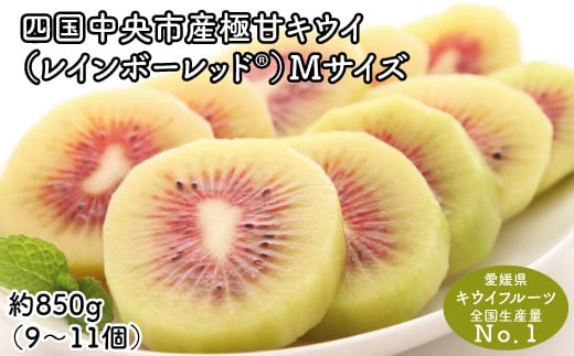 <10月下旬以降発送>【ぽぽ農園】レインボーレッドキウイ(四国中央市産レインボーレッド) M サイズ 約850g(9個~11個)