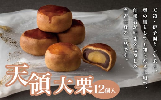天領大栗 12個入り
